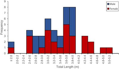 Frontiers Spatio Temporal Variability in White Shark